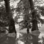 Black and white photograph by Bernard Donjean that shows the flooded Boverie Park during the 2021 floods in the Province of Liège (name of the photograph : Flooded Park, #2)