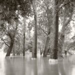 Black and white photograph by Bernard Donjean that shows the flooded Boverie Park during the 2021 floods in the Province of Liège (name of the photograph : Flooded Park, #3)