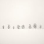 Black and white photograph by Bernard Donjean that shows eight trees on the ridge of a snow covered meadow (name of the photograph : Büllingen's Trees, #2)