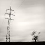 Black and white photograph by Bernard Donjean that shows a small tree next to a giant electric pole (name of the photograph : Tall and Short)