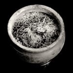 Black and white photograph by Bernard Donjean that shows incense ashes in a terracotta pottery (name of the photograph : Incense Ashes)