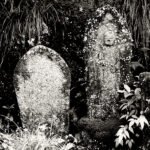 Black and white photograph by Bernard Donjean that shows two Jizo carved stone, one of which is covered by a plant which flecks the statue by white spots (name of the photograph : White Spotted Jizo Stone)