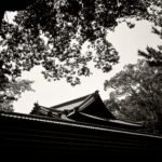 Black and white photograph by Bernard Donjean that shows the roof and the perimeter wall of Todai-ji Honbo in Nara (name of the photograph : Todai-ji Honbo Roof)