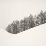 Black and white photograph by Bernard Donjean that shows a row of trees behind a snow mound (name of the photograph : Behind the Mound)