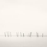 Black and white photograph by Bernard Donjean that shows sixteen poles in the Biwa lake (name of the photograph : Sixteen Poles)