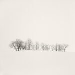 Black and white photograph by Bernard Donjean that shows a small isolated snowy grove (name of the photograph : Snowy Grove)