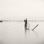 Black and white photograph by Bernard Donjean that shows a net fishing layout in the Biwa lake (name of the photograph : Net Fishing)