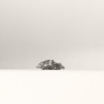 Black and white photograph by Bernard Donjean that shows a small group of submerged trees (name of the photograph : Submerged Trees, #2)