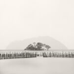 Black and white photograph by Bernard Donjean that shows a small group of submerged trees (name of the photograph : Submerged Trees, #3)