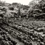 Black and white photograph by Bernard Donjean that shows the garden of the Adashino Nenbutsu-ji Temple which includes 8000 buddhist statues (name of the photograph : Eight Thousand Statues)