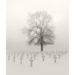 Black and white photograph by Bernard Donjean that shows the American Cemetery of Henri-Chapelle during un wintery and foggy day (name of the photograph : American Cemetery, #10)