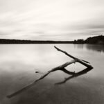 Black and white photograph by Bernard Donjean that shows a dead branch emerging from the surface of a lake (name of the photograph : Emersion)