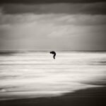 Black and white photograph by Bernard Donjean that shows the sculpture "Tomorrow Man Made by the Sea", by Catherine François in Knokke (name of the photograph : "Tomorrow Man Made by the Sea", by Catherine François)