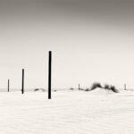 Black and white photograph by Bernard Donjean that five posts on the beach of Ostende (name of the photograph : Posts on Beach)